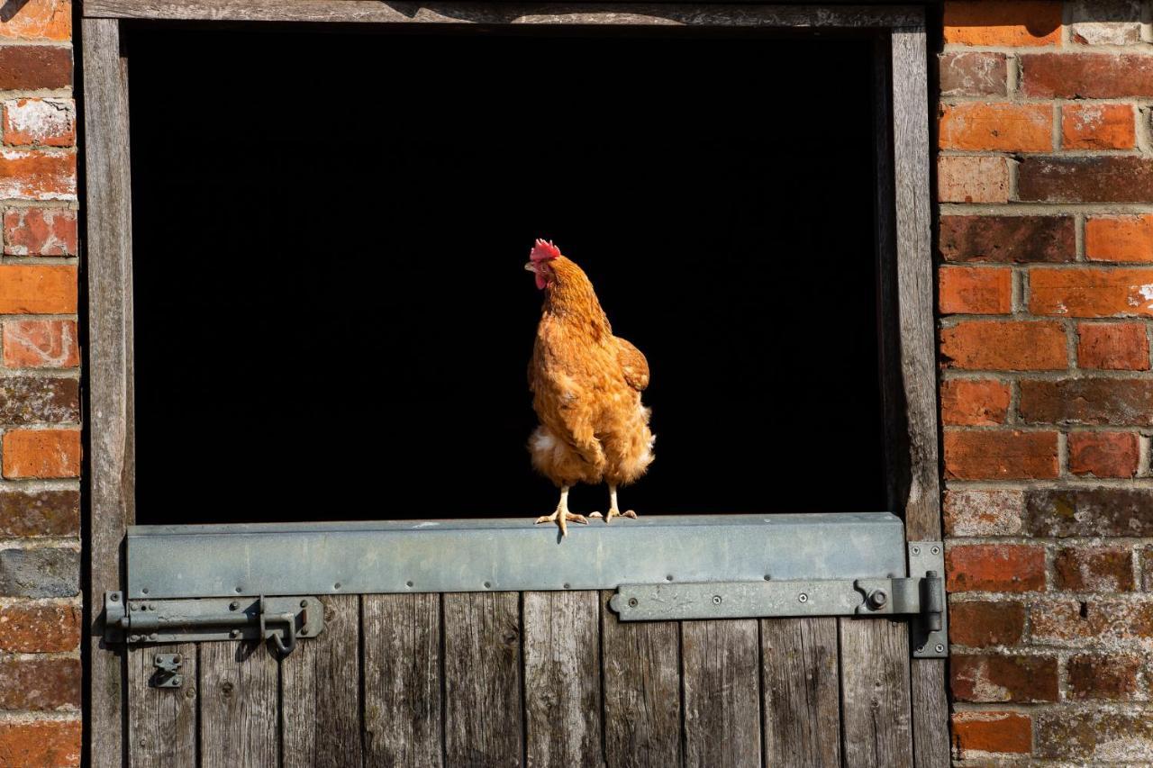 The Farm At Avebury Villa Marlborough Bagian luar foto