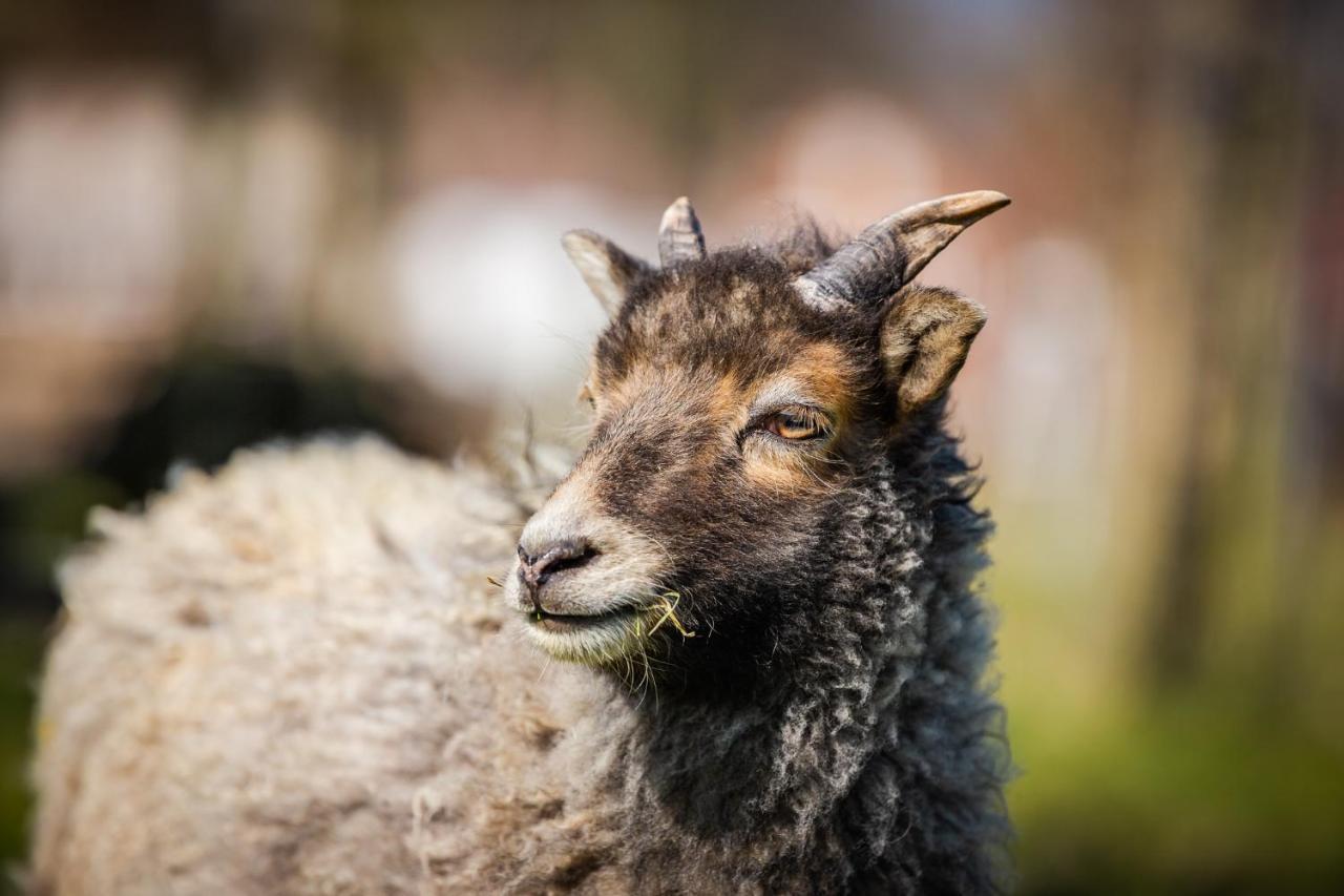 The Farm At Avebury Villa Marlborough Bagian luar foto